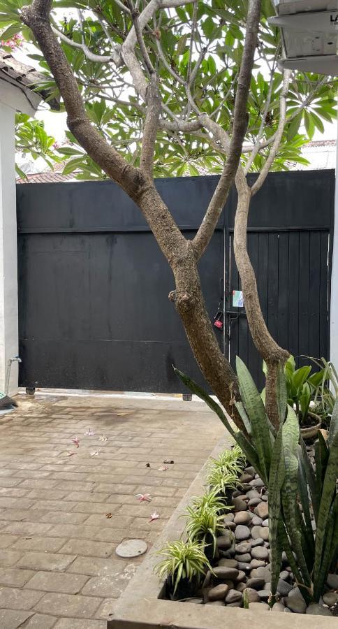 Chic And Cozy Studio تْشانغو المظهر الخارجي الصورة
